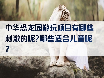 中华恐龙园游玩项目有哪些刺激的呢？哪些适合儿童呢？