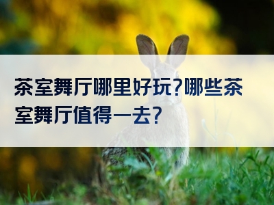 茶室舞厅哪里好玩？哪些茶室舞厅值得一去？