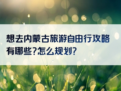 想去内蒙古旅游自由行攻略有哪些？怎么规划？