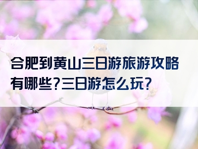 合肥到黄山三日游旅游攻略有哪些？三日游怎么玩？