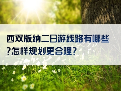 西双版纳二日游线路有哪些？怎样规划更合理？