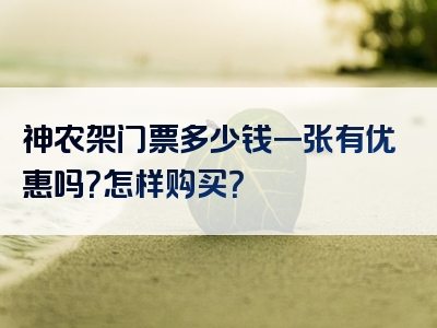 神农架门票多少钱一张有优惠吗？怎样购买？