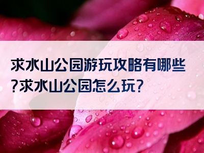 求水山公园游玩攻略有哪些？求水山公园怎么玩？