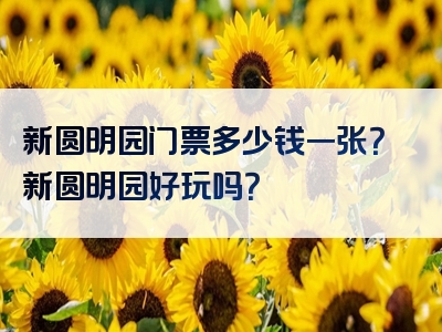 新圆明园门票多少钱一张？新圆明园好玩吗？