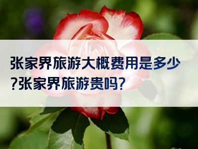 张家界旅游大概费用是多少？张家界旅游贵吗？