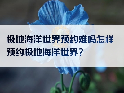 极地海洋世界预约难吗怎样预约极地海洋世界？