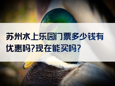 苏州水上乐园门票多少钱有优惠吗？现在能买吗？