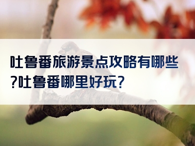吐鲁番旅游景点攻略有哪些？吐鲁番哪里好玩？