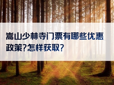 嵩山少林寺门票有哪些优惠政策？怎样获取？