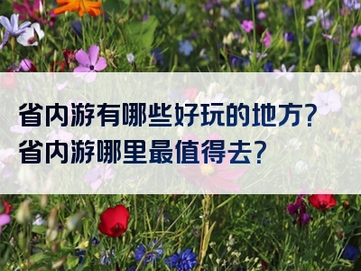省内游有哪些好玩的地方？省内游哪里最值得去？