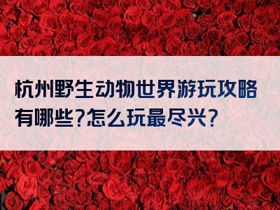 杭州野生动物世界游玩攻略有哪些？怎么玩最尽兴？