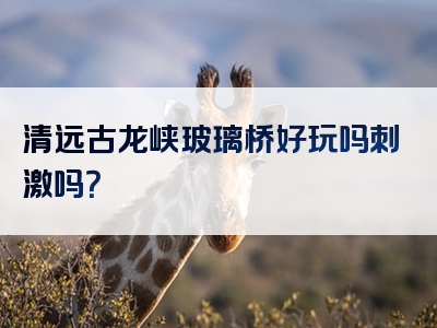 清远古龙峡玻璃桥好玩吗刺激吗？