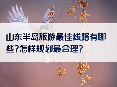 山东半岛旅游最佳线路有哪些？怎样规划最合理？