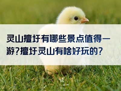 灵山擅圩有哪些景点值得一游？擅圩灵山有啥好玩的？