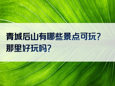 青城后山有哪些景点可玩？那里好玩吗？