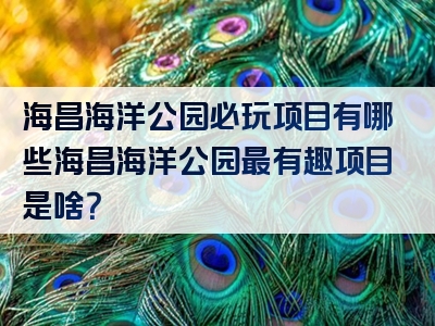 海昌海洋公园必玩项目有哪些海昌海洋公园最有趣项目是啥？