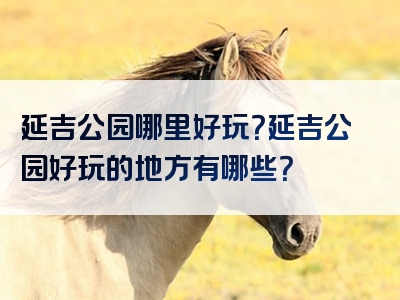 延吉公园哪里好玩？延吉公园好玩的地方有哪些？