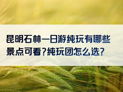 昆明石林一日游纯玩有哪些景点可看？纯玩团怎么选？