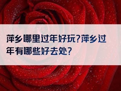 萍乡哪里过年好玩？萍乡过年有哪些好去处？