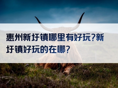 惠州新圩镇哪里有好玩？新圩镇好玩的在哪？