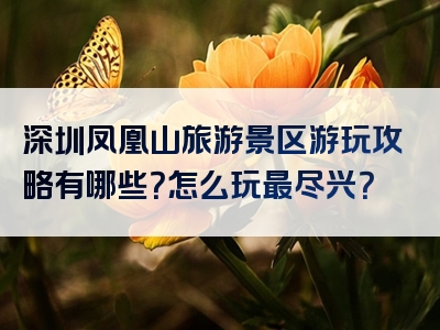 深圳凤凰山旅游景区游玩攻略有哪些？怎么玩最尽兴？