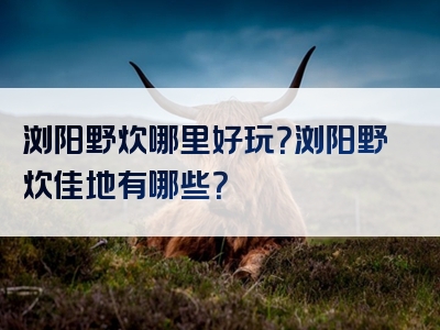 浏阳野炊哪里好玩？浏阳野炊佳地有哪些？