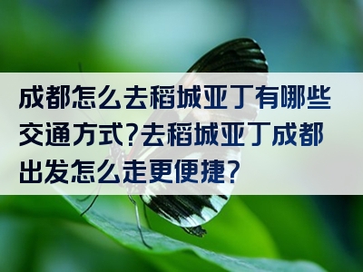 成都怎么去稻城亚丁有哪些交通方式？去稻城亚丁成都出发怎么走更便捷？