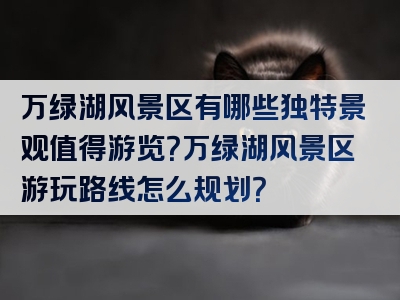 万绿湖风景区有哪些独特景观值得游览？万绿湖风景区游玩路线怎么规划？