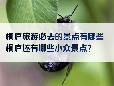 桐庐旅游必去的景点有哪些桐庐还有哪些小众景点？