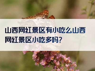 山西网红景区有小吃么山西网红景区小吃多吗？