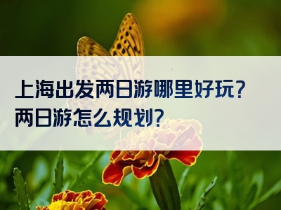 上海出发两日游哪里好玩？两日游怎么规划？