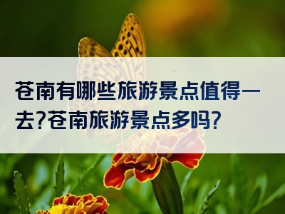 苍南有哪些旅游景点值得一去？苍南旅游景点多吗？