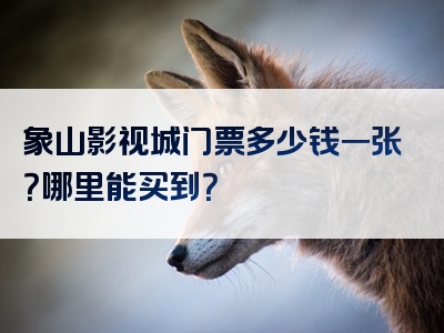 象山影视城门票多少钱一张？哪里能买到？