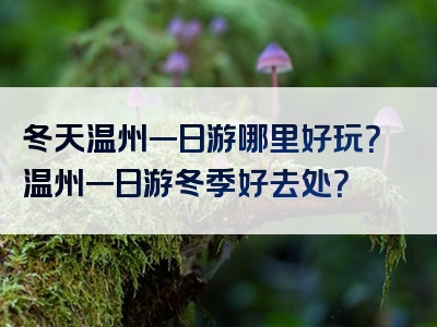 冬天温州一日游哪里好玩？温州一日游冬季好去处？
