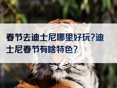 春节去迪士尼哪里好玩？迪士尼春节有啥特色？