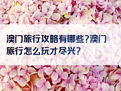 澳门旅行攻略有哪些？澳门旅行怎么玩才尽兴？
