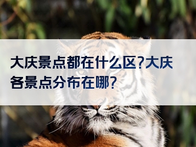 大庆景点都在什么区？大庆各景点分布在哪？
