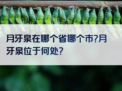 月牙泉在哪个省哪个市？月牙泉位于何处？