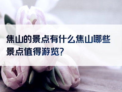 焦山的景点有什么焦山哪些景点值得游览？