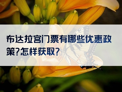 布达拉宫门票有哪些优惠政策？怎样获取？