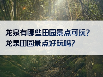 龙泉有哪些田园景点可玩？龙泉田园景点好玩吗？