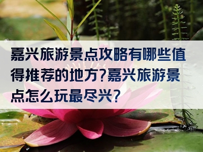 嘉兴旅游景点攻略有哪些值得推荐的地方？嘉兴旅游景点怎么玩最尽兴？