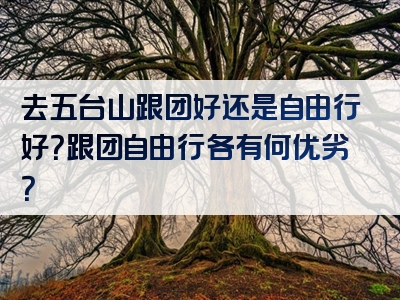 去五台山跟团好还是自由行好？跟团自由行各有何优劣？