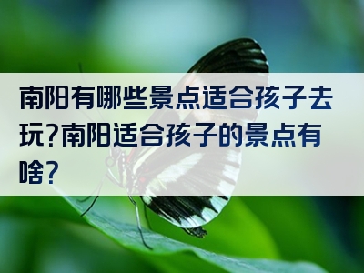 南阳有哪些景点适合孩子去玩？南阳适合孩子的景点有啥？