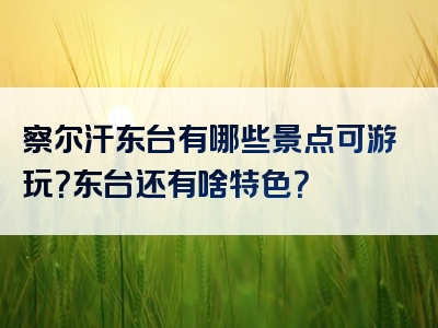 察尔汗东台有哪些景点可游玩？东台还有啥特色？