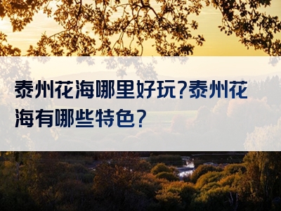 泰州花海哪里好玩？泰州花海有哪些特色？