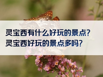 灵宝西有什么好玩的景点？灵宝西好玩的景点多吗？
