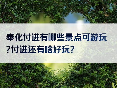 奉化付进有哪些景点可游玩？付进还有啥好玩？