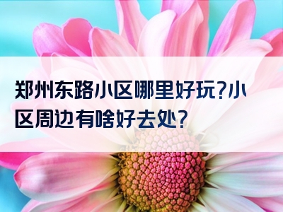 郑州东路小区哪里好玩？小区周边有啥好去处？