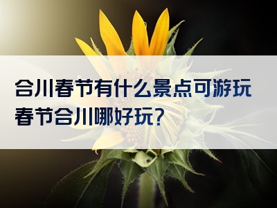 合川春节有什么景点可游玩春节合川哪好玩？